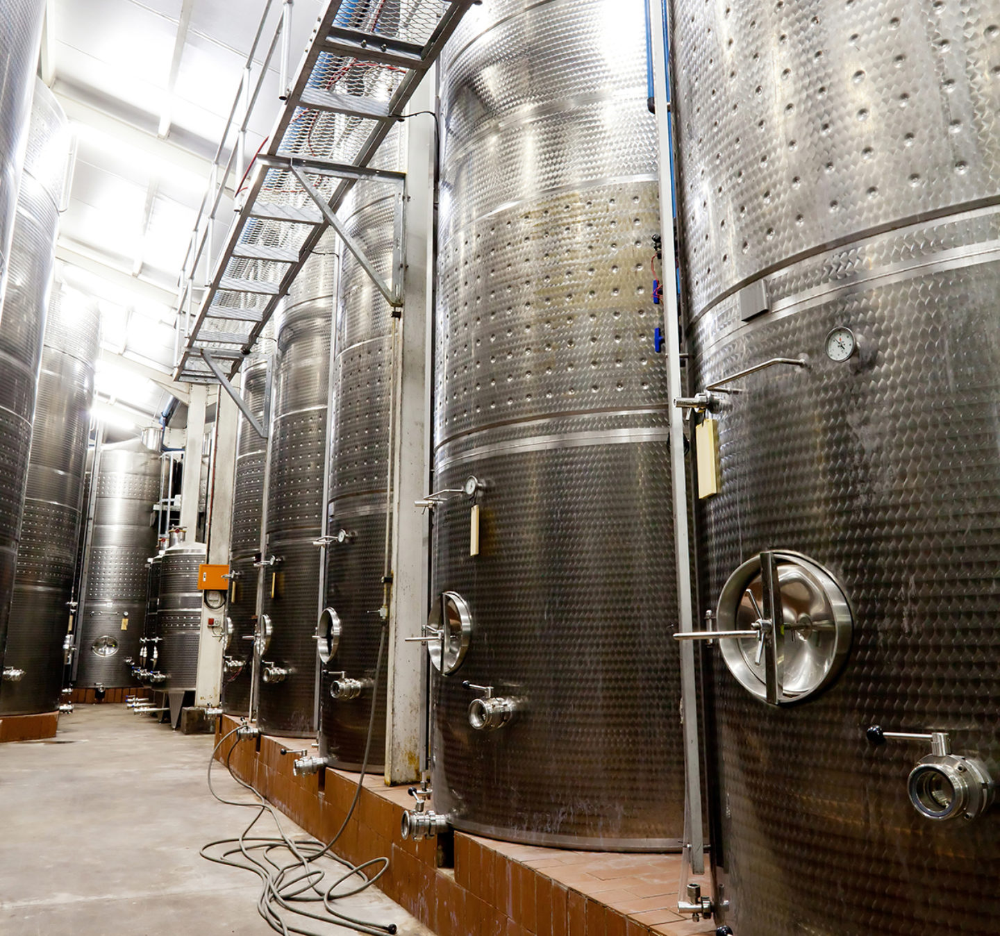 Sulfate, Sulfites in Wine