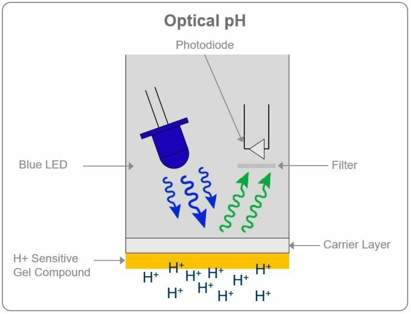 Comparing Glass Membrane Versus Optical pH Sensors Process Analytics Hamilton Company