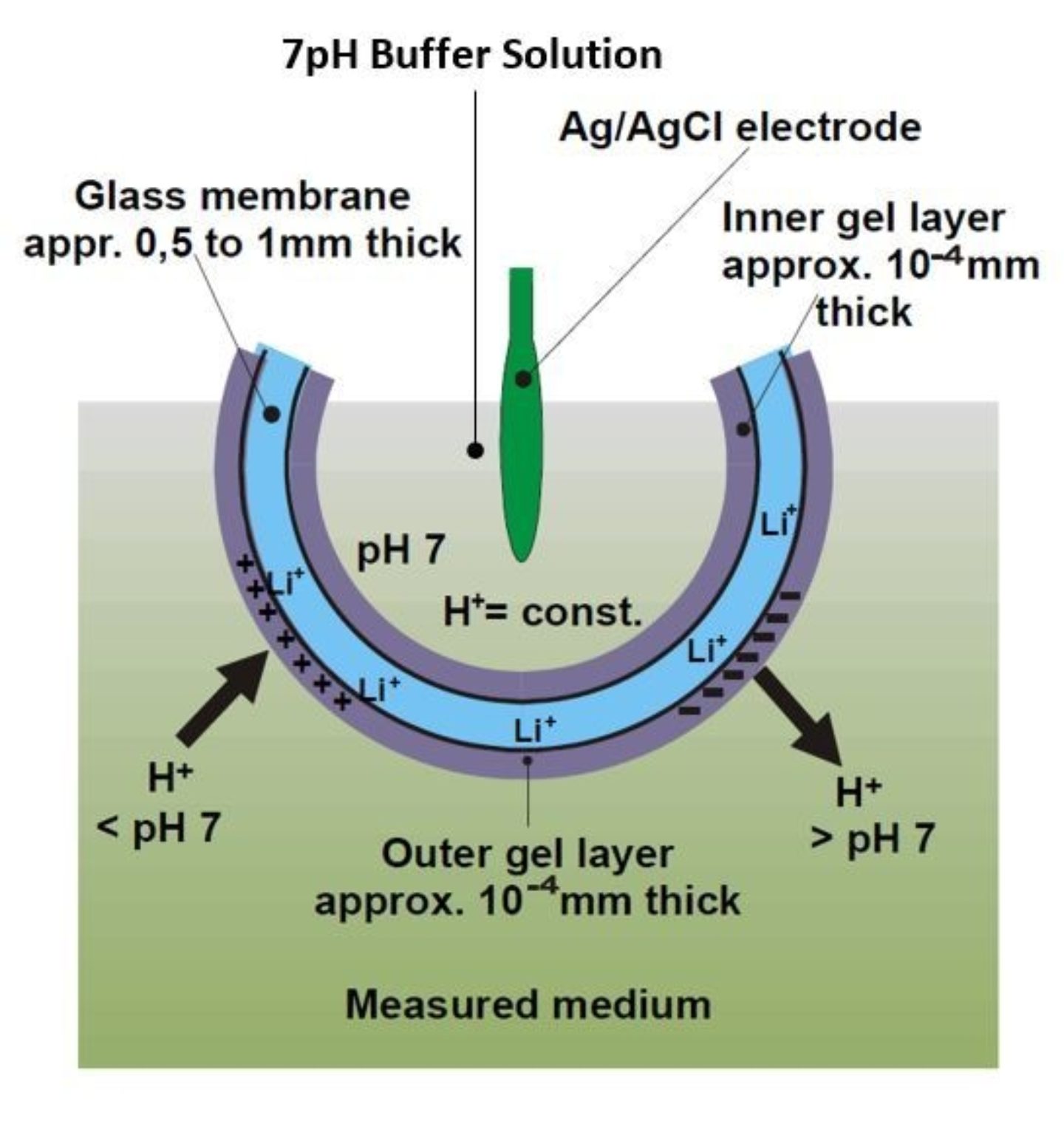 pH Drift From Autoclavation or SIP Process Analytics Hamilton Company