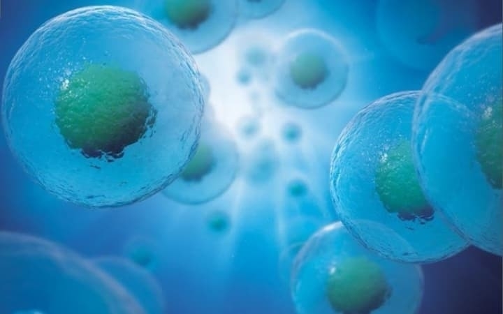 Various Cells in Liquid
