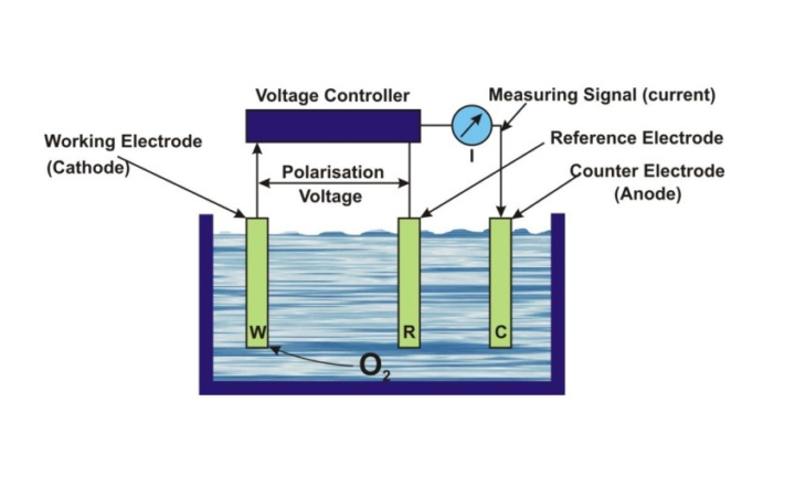 Polarographic do sensor diagram
